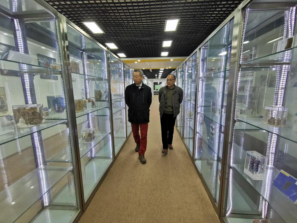 促进国际化人才培养的可行性进行了深入