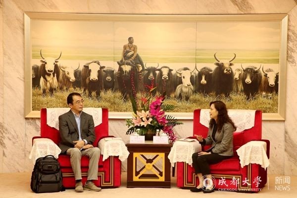 以及大运村建设情况