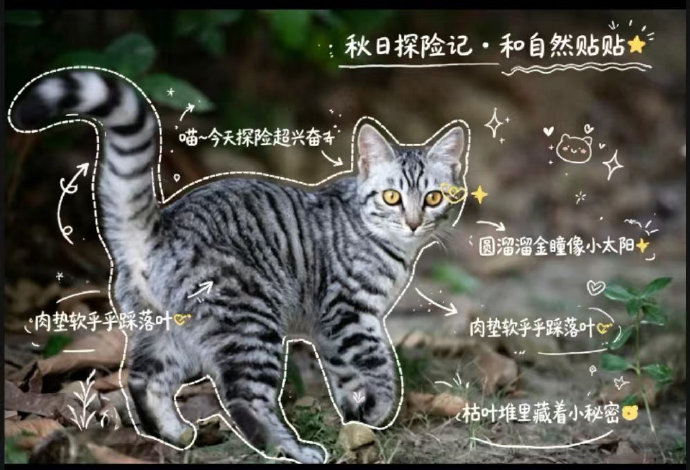 版权所有©9游会登录地址新人权益蜀I